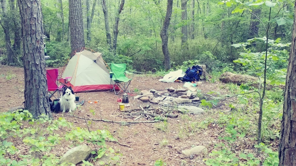 Turnipseed Campground