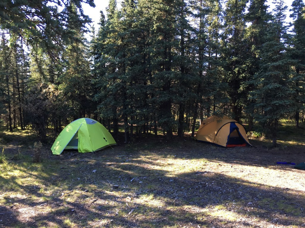 Riley Creek Campground in Denali