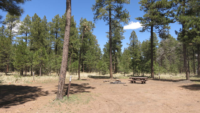 Top 31 Campground in Arizona - Check #5 A Most Go